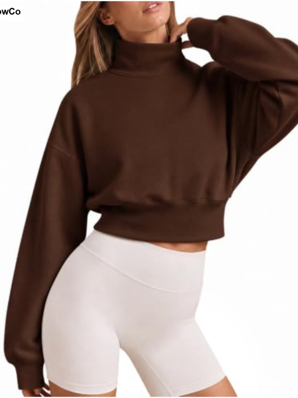 Mock Neck Cropped Sweatshirt Modal Fleece Lined Pullover
